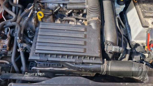 Покупка и пригон авто из Европы (Швеция). Volkswagen Caddy Maxi Life 1.4 TGI, 2017 г. смотреть онлайн