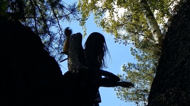 Томь. Водопад Косопорожных островов. 2020 смотреть онлайн