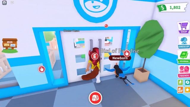 КРУТОЕ ОБНОВЛЕНИЕ Адопт Ми На Этой НЕДЕЛЕ Новый Дом и Гонки! Новости Adopt Me Roblox смотреть онлайн