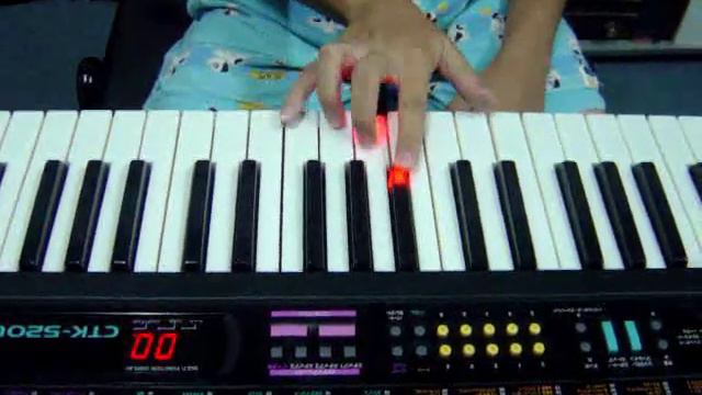 CASIO CTK-520L Review By Nakkid Pao