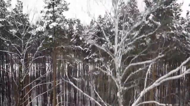 Зима - НовоРижское шоссе - Москва река - Красногорск смотреть онлайн