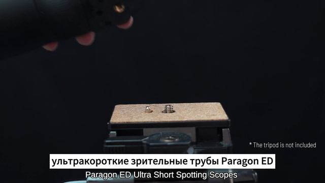 Vector Optics | Не пропустите ультракороткую зрительную трубу Paragon ED (SCSS-10 & SCSS-11) смотреть онлайн