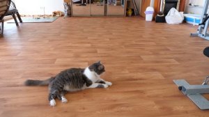 VLOG Реакция Кати и Махи на приезд Батона