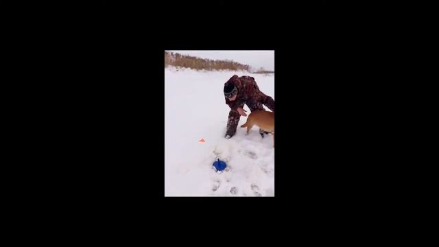 Рыбалка на реке Вязьма смотреть онлайн