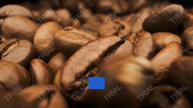 Black Coffee : 8 Health tips / Healthy Coffee смотреть онлайн
