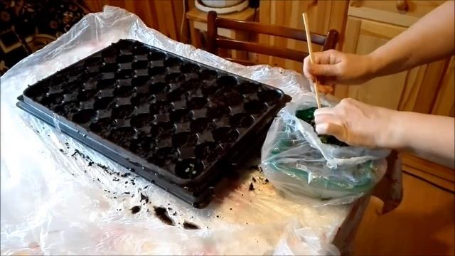 Пикирование земляники смотреть онлайн