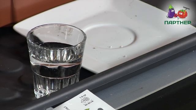 ДВА СПОСОБА ПОСЕВА ПЕТУНИИ смотреть онлайн