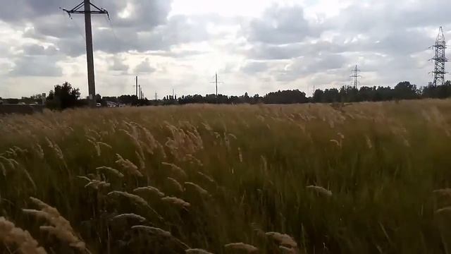 НАРЕЗКА КАК ГУЛЯЮТ КОРОВЫ И ГЛАВНОЕ ГДЕ!!! смотреть онлайн
