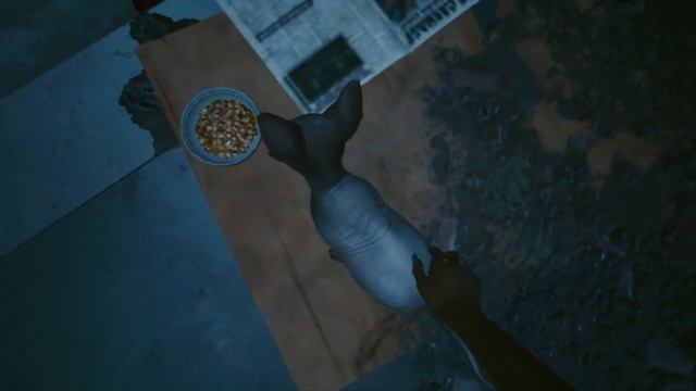 Cyberpunk 2077 - Petting a cat смотреть онлайн