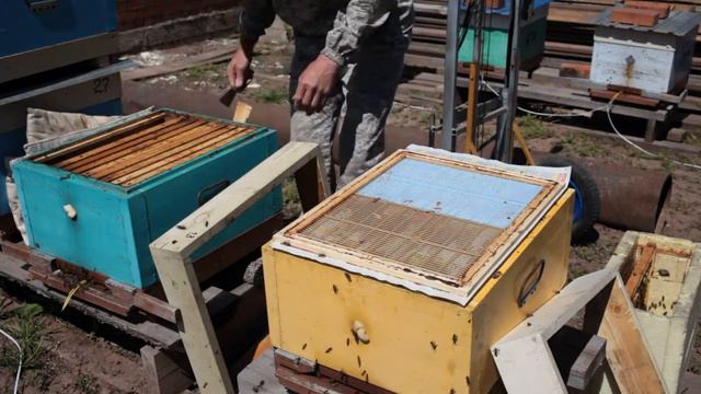 вывод маток подготовка смотреть онлайн