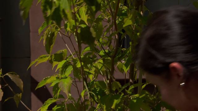 How to Revive a City Stoop | Ask This Old House смотреть онлайн