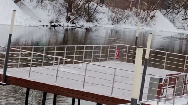 утки плавают на Клязьме смотреть онлайн