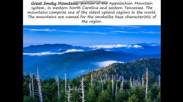 The geographical position of the USA. Population. Natural resources.