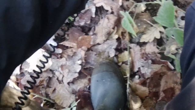 Woodland Brass Dump Garrett Ace Apex. Episode 78 Week 49. смотреть онлайн