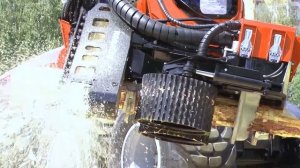 СОРЕВНОВАНИЕ ЛЕСОРУБОВ (СЫВТЫВКАР)