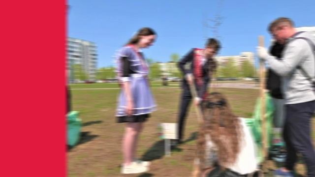 #КартинаДня смотреть онлайн