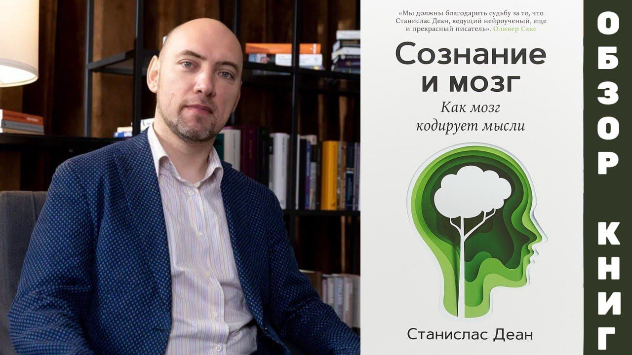 Душкин о книгах: Деан С. — Сознание и мозг смотреть онлайн