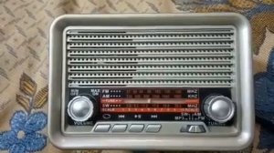 Прием тестового вещания Радио России на 999 кГц в Гродно на Ritmix RPR 030