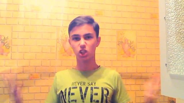 ПАРОДИИ НА ЧЕЛЛЕНДЖИ | BOTTLE FLIP CHALLENGE| 24 HOURS CHALLENGE смотреть онлайн