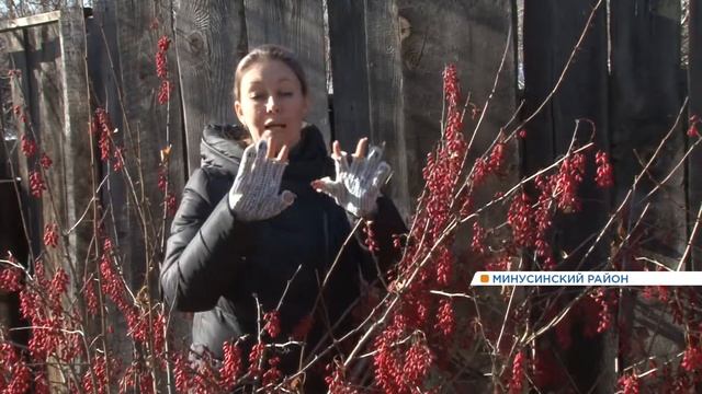 Сезон барбариса!/Barberry season! смотреть онлайн