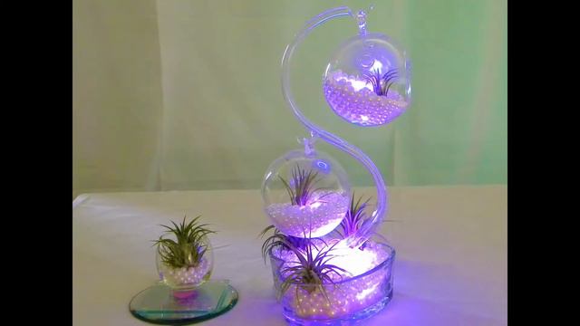 merry christmas from air plant home decor kelly смотреть онлайн