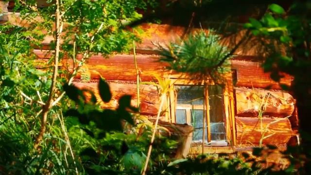 Agafia Lykova. Construction of a new hut in 1983 смотреть онлайн