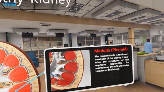 Lifeliqe VR смотреть онлайн