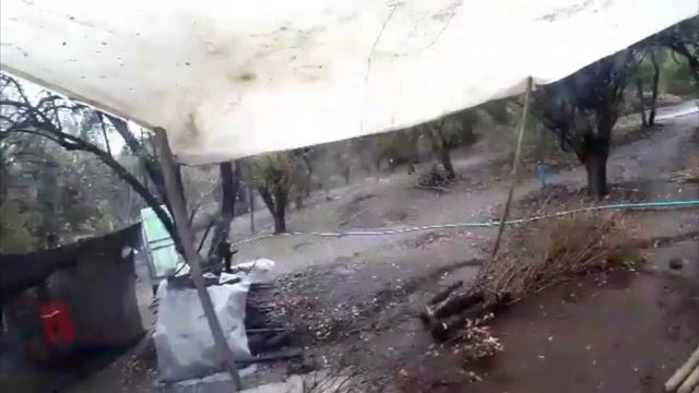 2км за хлебушком по раЕну / #ЕдуДальше #Приключения #Чили #Сантьяго