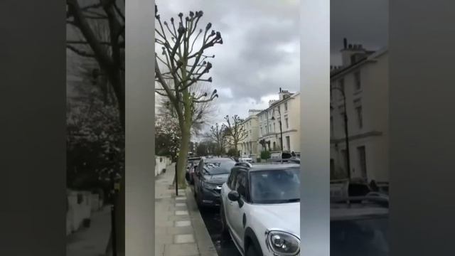 Лондон. Прогулка. Primrose Hill (Англия)