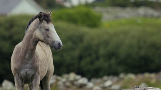 Расслабляющая Музыка для Сна и Медитации Включи чтобы Быстро заснуть смотреть онлайн