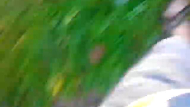 Обзор на лук! Мы эльфы! =) смотреть онлайн