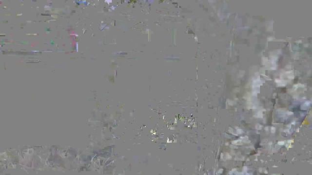 ? ПРИЗОВЫЕ КАСТОМКИ ОТ TEMPLAR ORDER? смотреть онлайн