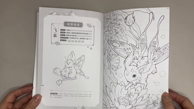 Обзор раскраски с AliExpress смотреть онлайн