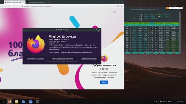 Ubuntu Web (Gnome). смотреть онлайн