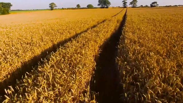 "СОЮЗ" - единая валюта на пространстве Нового Советского Союза" смотреть онлайн