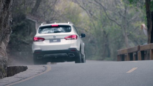 Внедорожники и кроссоверы Dongfeng