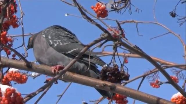 У природы нет плохой погоды смотреть онлайн