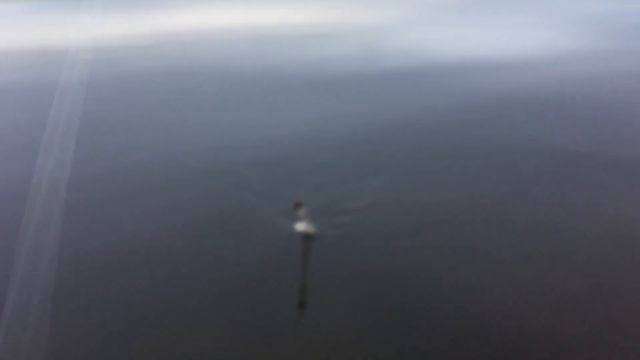 Способ ловли рыбы найден))) Рыбалка на кормушку с сеткой. смотреть онлайн