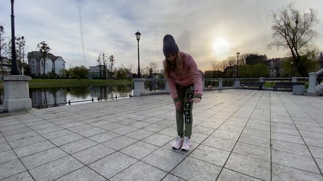 Как мы перевозили собаку в Калининград! смотреть онлайн