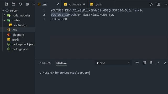 Wie nutzt man eine externe API?? Beispiel mit der YouTube Data API v3 und NodeJS! [TUTORIAL] смотреть онлайн