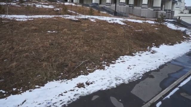 AV200 plus CC3D The first fly смотреть онлайн