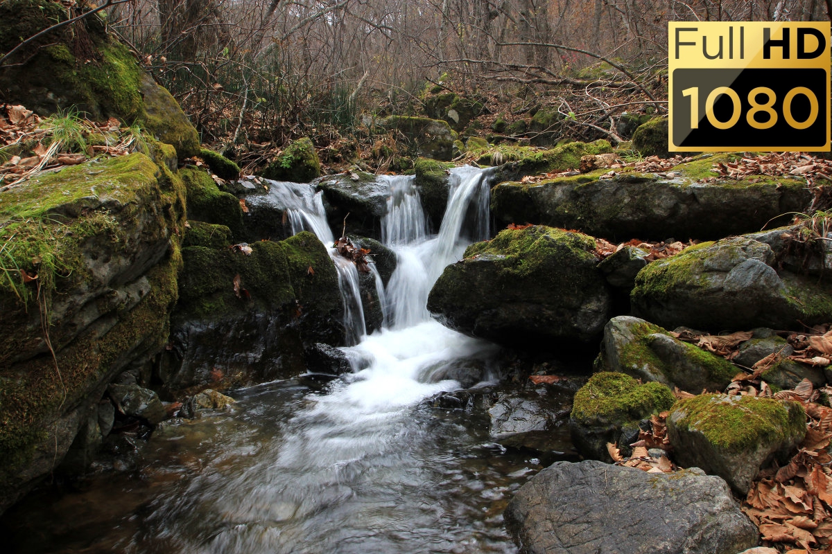 Осенний водопад и расслабляющие звуки текущей воды Full HD 60 FPS смотреть онлайн