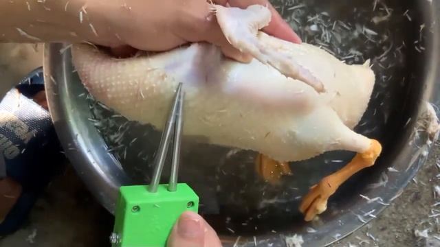 Машинка для чистки пера. Аппарат удаления оперения. смотреть онлайн