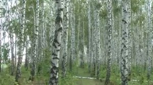 Это всё Россия - Родина моя!!!