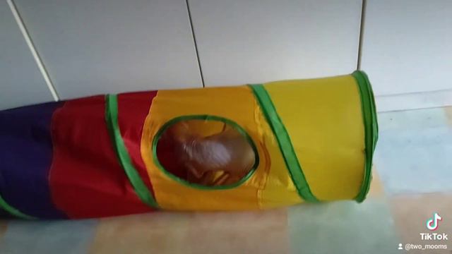 Лист бумаги+Феня =лучшая игрушка смотреть онлайн