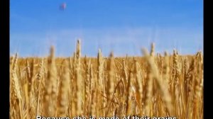 "Хлопушка Любятова" для Любятово (Kellogg's)