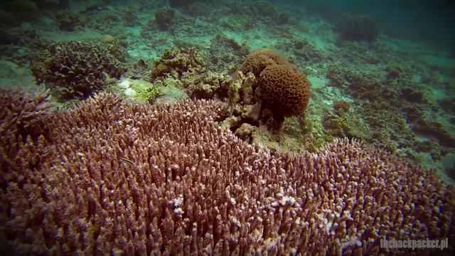 Gili Meno Snorkeling - Canon 600D + Go Pro 3 Black
