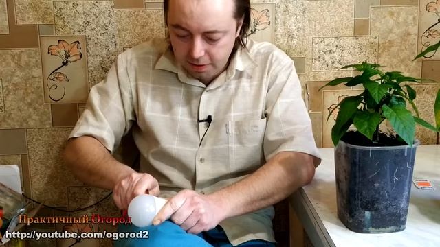 Фитолампы для рассады вам не нужны! смотреть онлайн