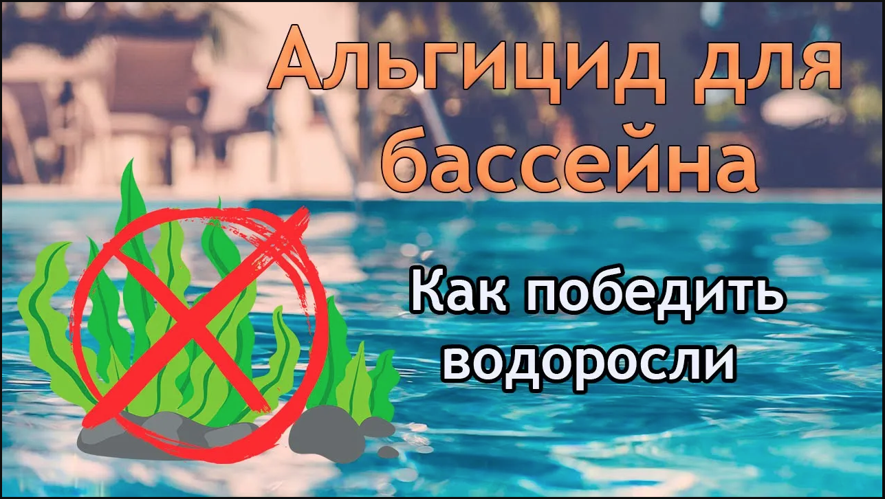 Альгицид для бассейна. Как применять альгицид, история, инструкция, мифы. Подкаст. смотреть онлайн