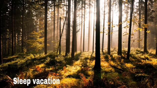 Расслабляющая музыка для сна | Успокаивающая МУЗЫКА перед сном | Sleep Vacation смотреть онлайн